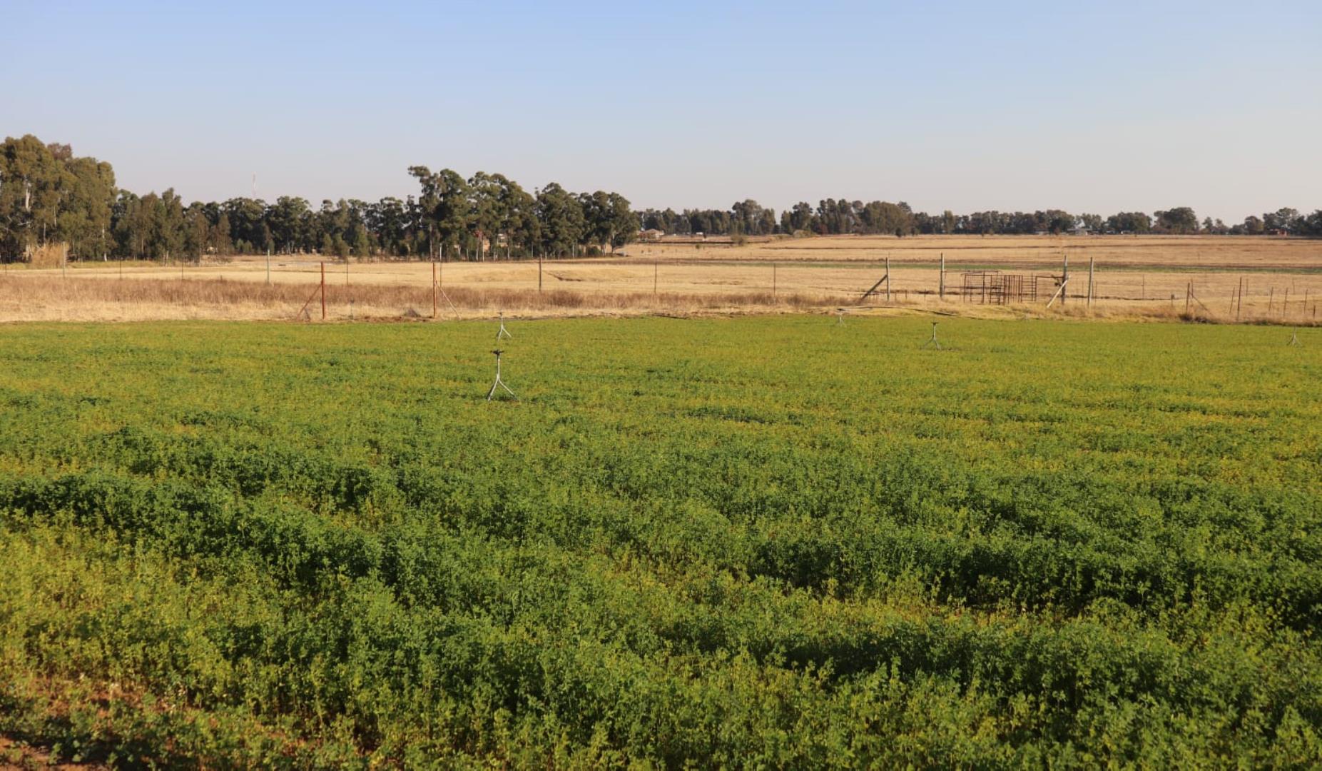 Farm for Sale - Gauteng